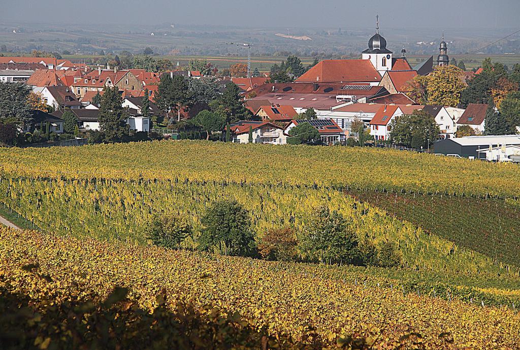 Weinstube Schwarzamsel Apartment Speyer Exterior photo